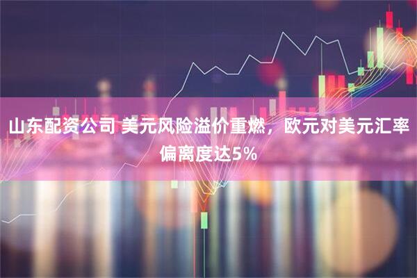 山东配资公司 美元风险溢价重燃，欧元对美元汇率偏离度达5%